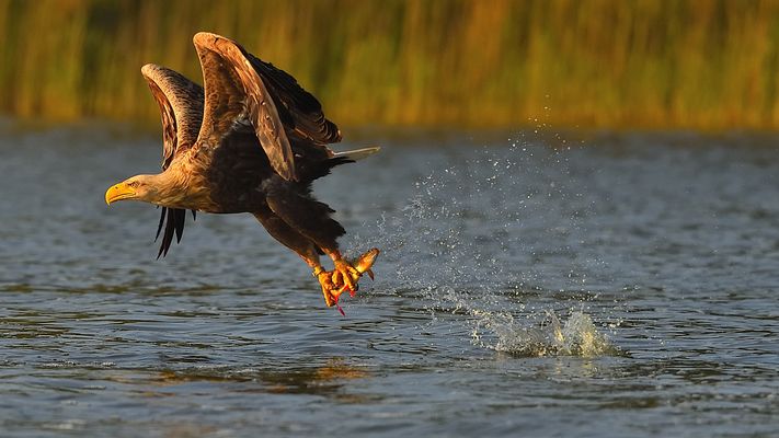--mal wieder sehr gut gegriffen!!