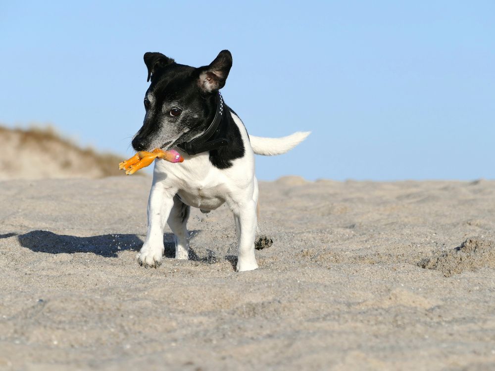 mal wieder Sylt unsicher machen...oder so