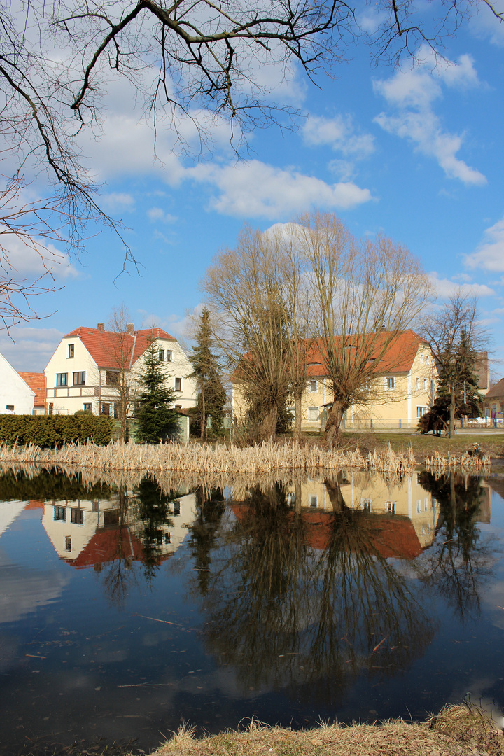 Mal wieder unser Dorfteich in Baruth