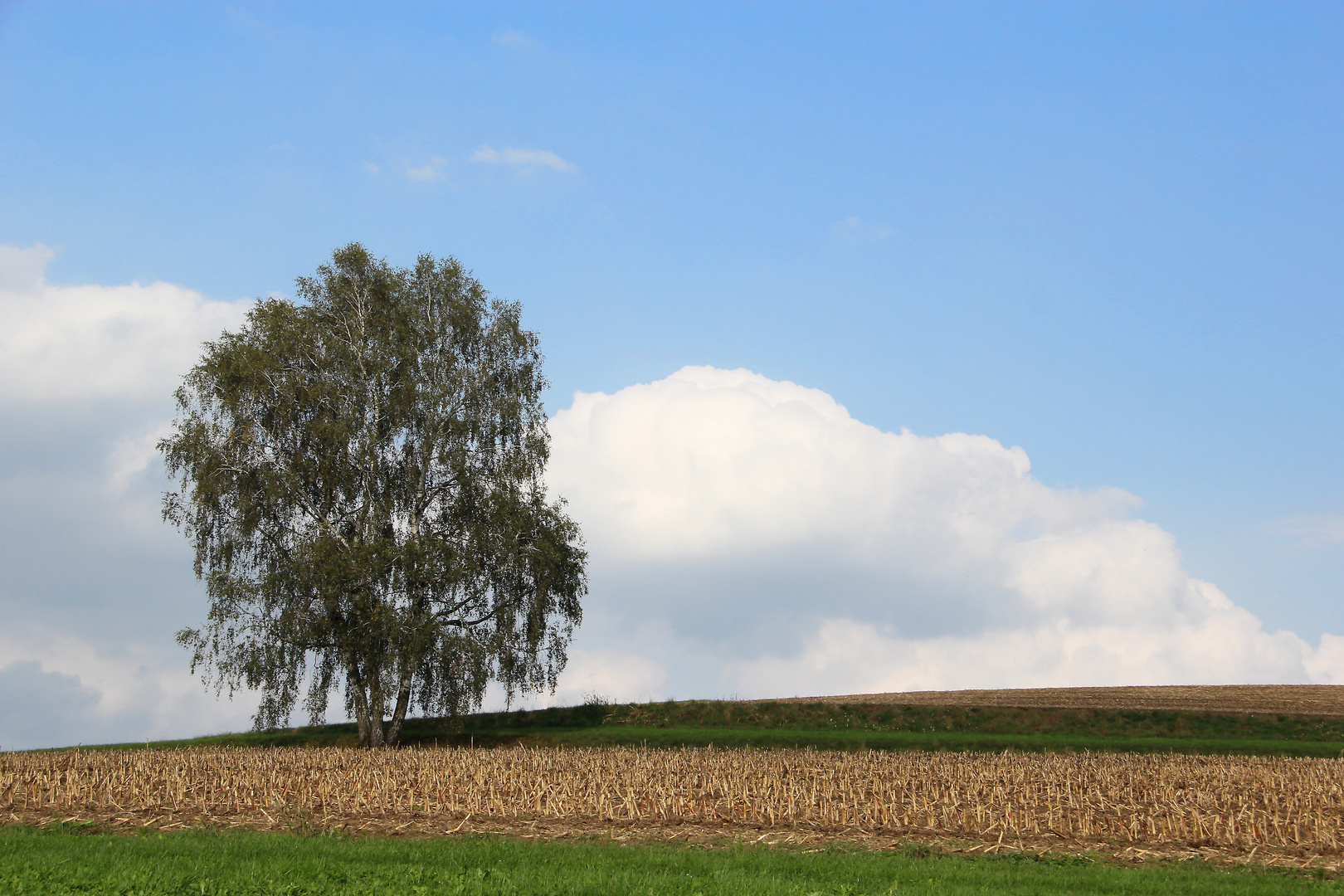 mal wieder Zeit