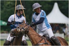mal wieder zum Polo