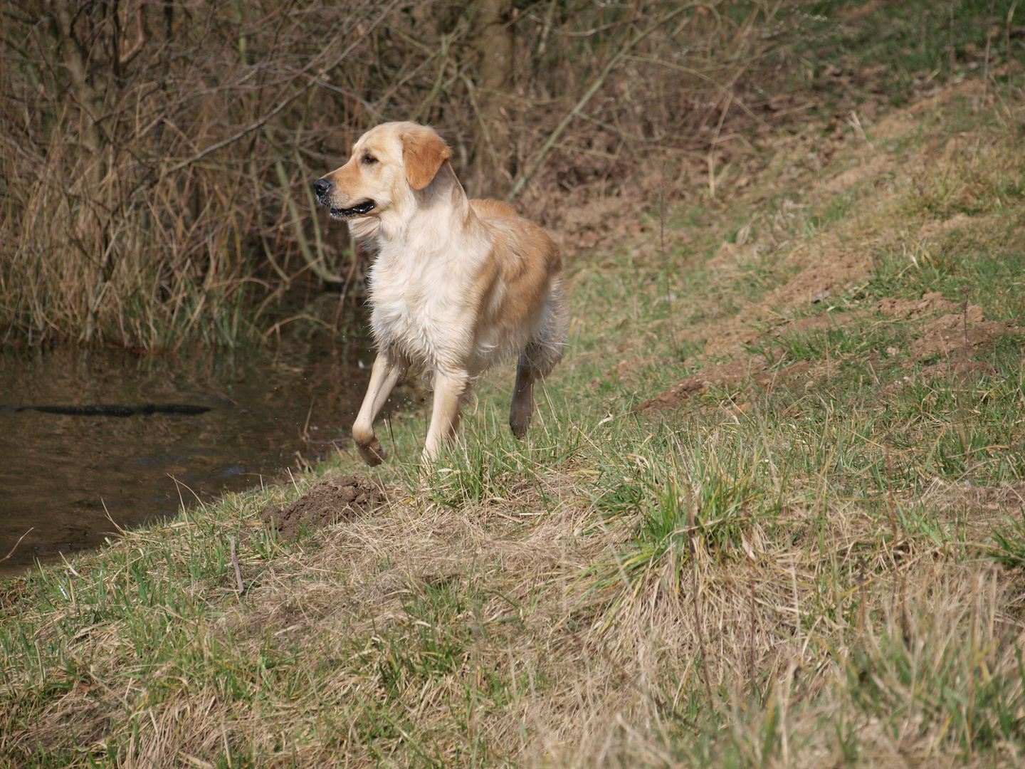 Mala bei der Arbeit