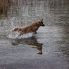 Mala im Chiemsee