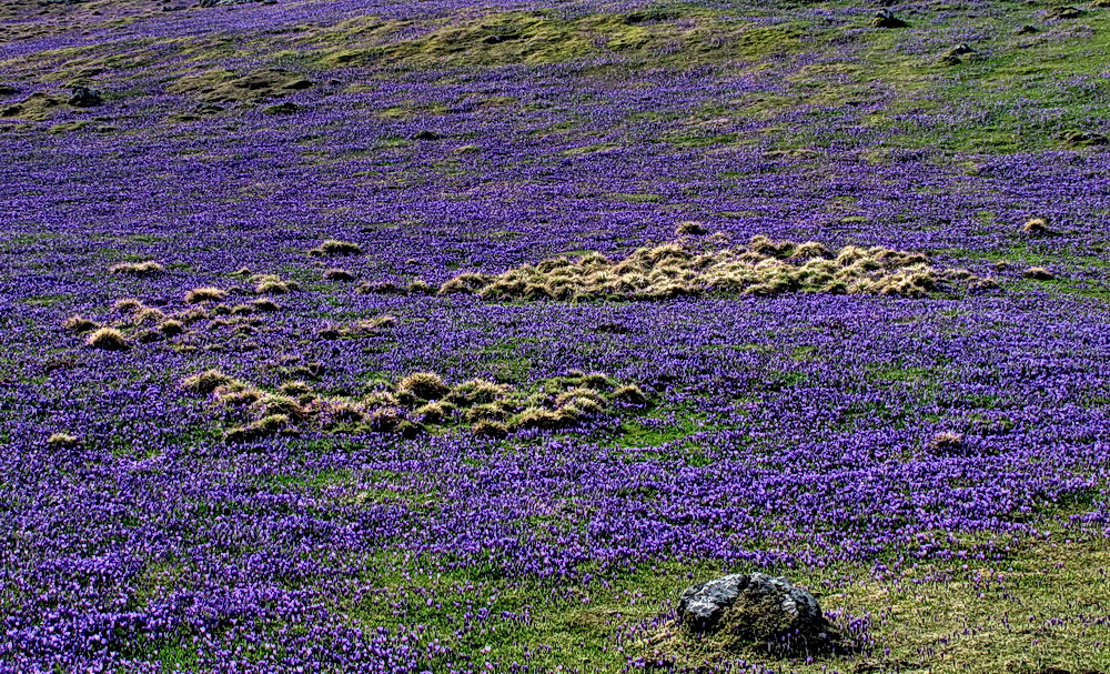 Mala planina 3