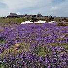 Mala planina-SLO