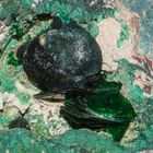 Malachite And Torbernite