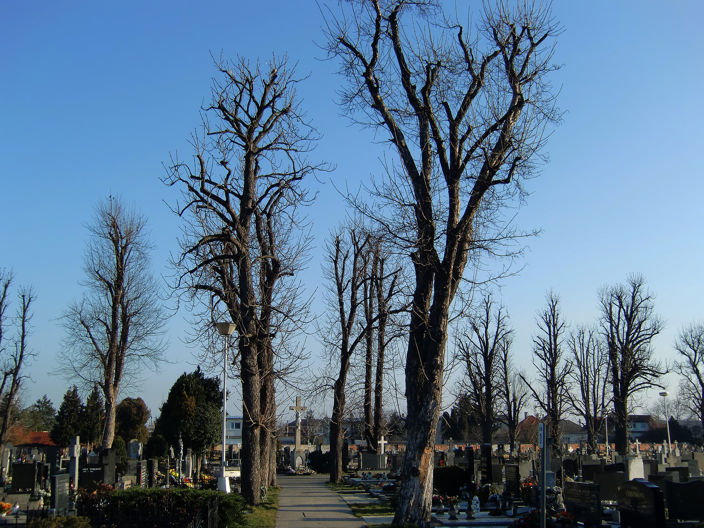 Malacky - Friedhof