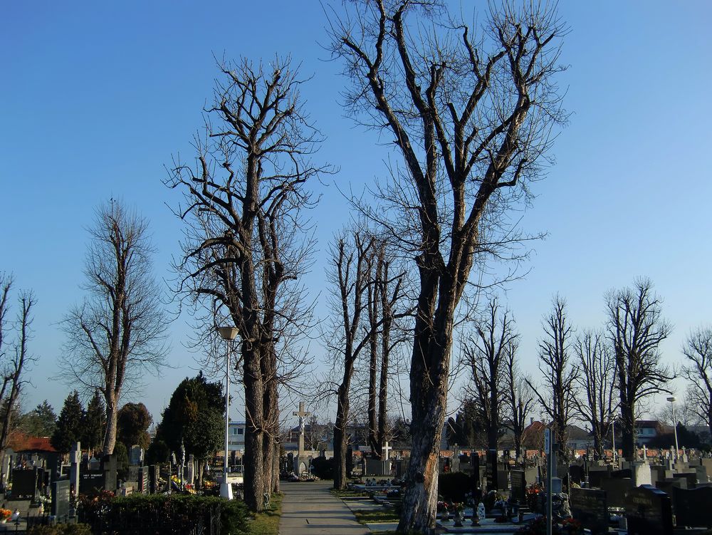 Malacky - Friedhof