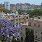 Malaga