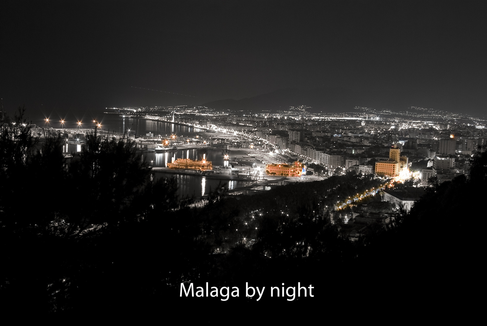 Malaga by night