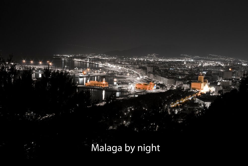 Malaga by night