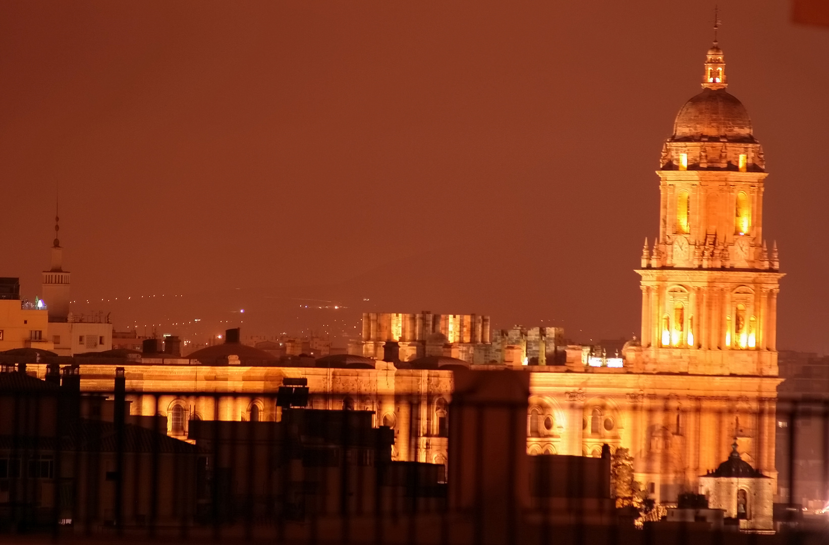 Malaga Cathedral from a rooftop in the center of the city