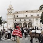 Málaga en fiestas