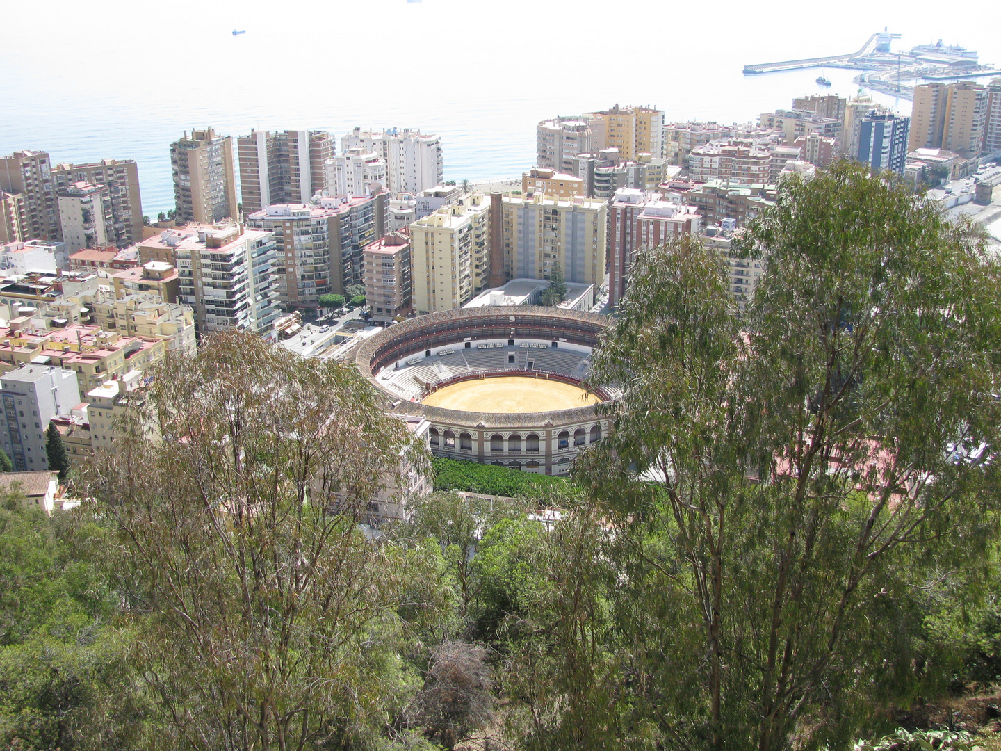 Malaga