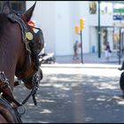 Malaga from carriage drawn