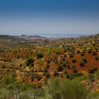 Malaga vom Hinterland aus gesehen