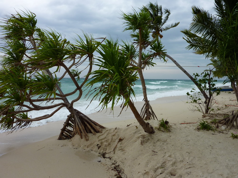 Malapascua Island, another Typhoon