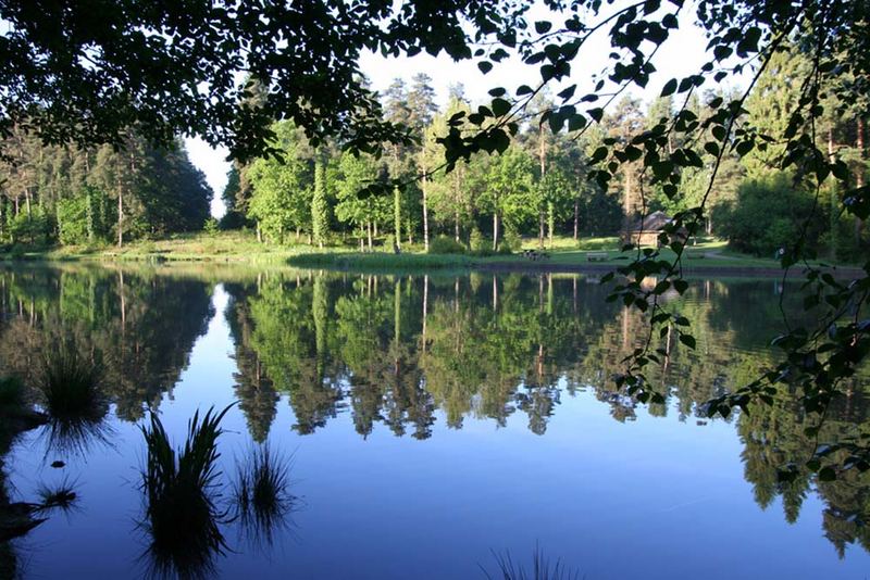 Malards Pike Lake early morning