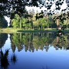 Malards Pike Lake early morning