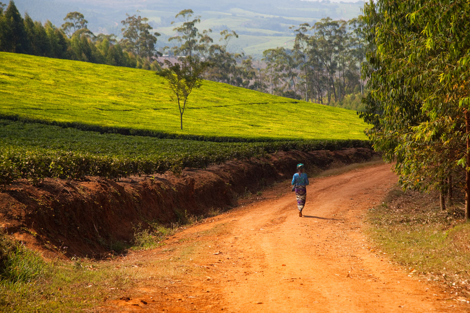 Malawi - Süden - August 2012