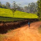 Malawi - Süden - August 2012