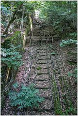 Malbergbahn Bad Ems - Schienen im Wald