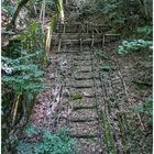 Malbergbahn Bad Ems - Schienen im Wald