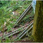 Malbergbahn Bad Ems unterhalb der Bergstation