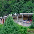 Malbergbahn Talstation -II-