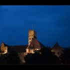 Malbork by night