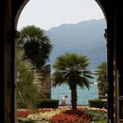 Malcesine blick auf den Gardasee