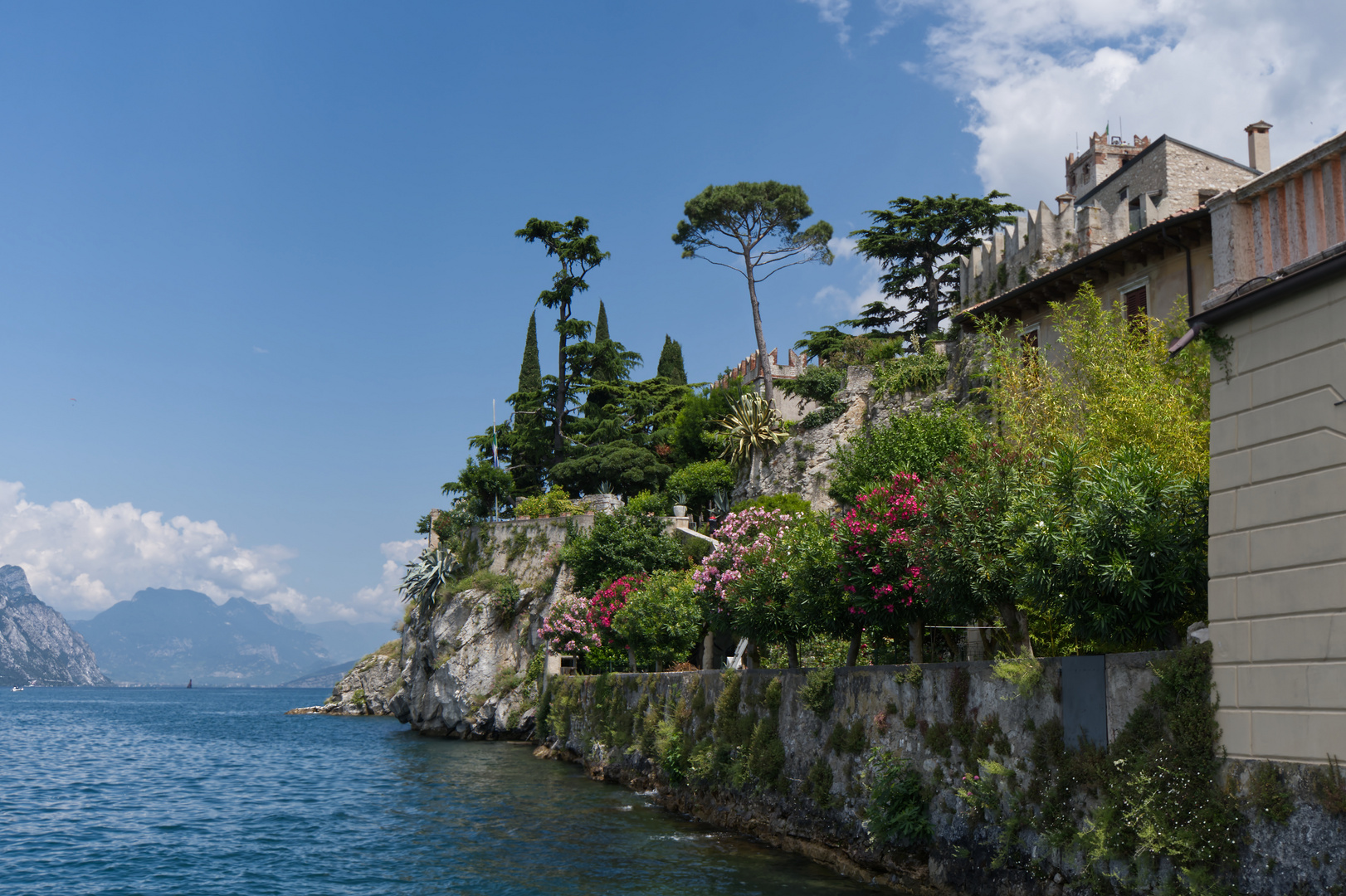 Malcesine-blühendes Ufer