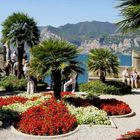 Malcesine, Lago di Garda