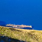 Malcesine vom Monte Baldo