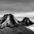 Malcolm Island, Canada