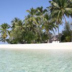 Maldive