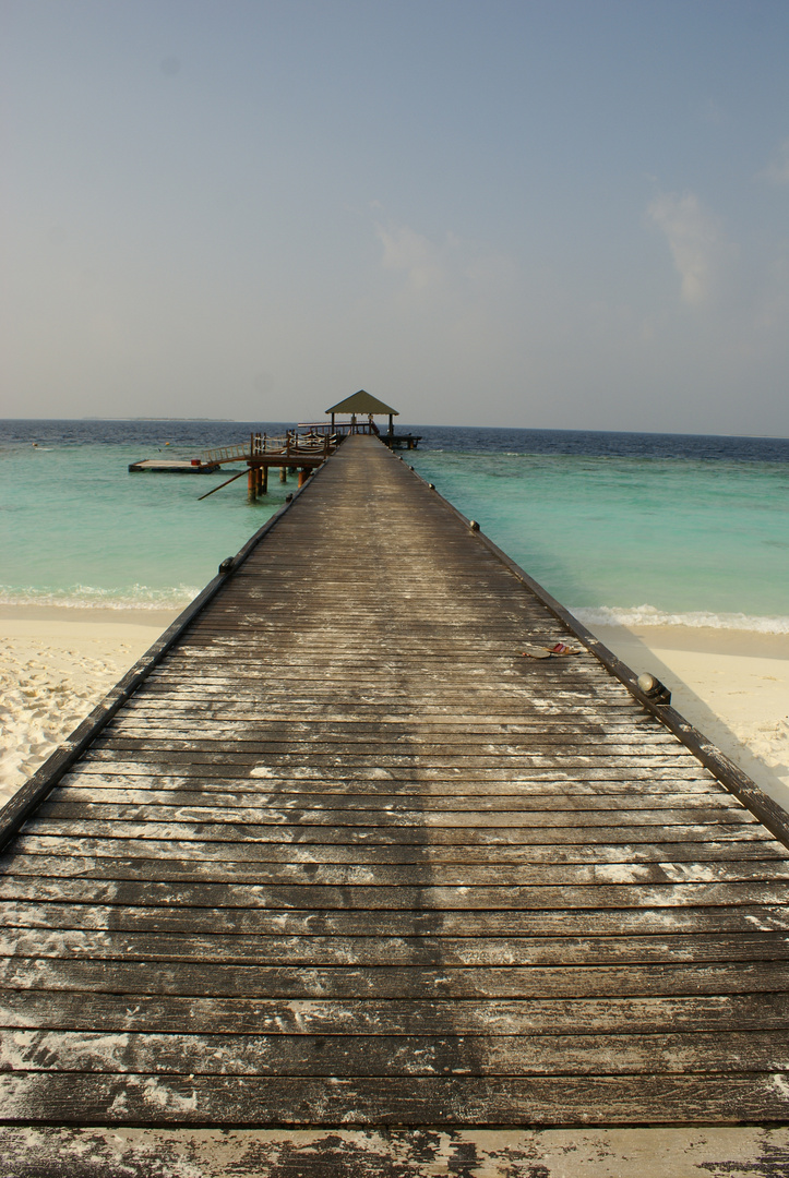 MALDIVES - Droit vers l'océan