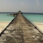 MALDIVES - Droit vers l'océan