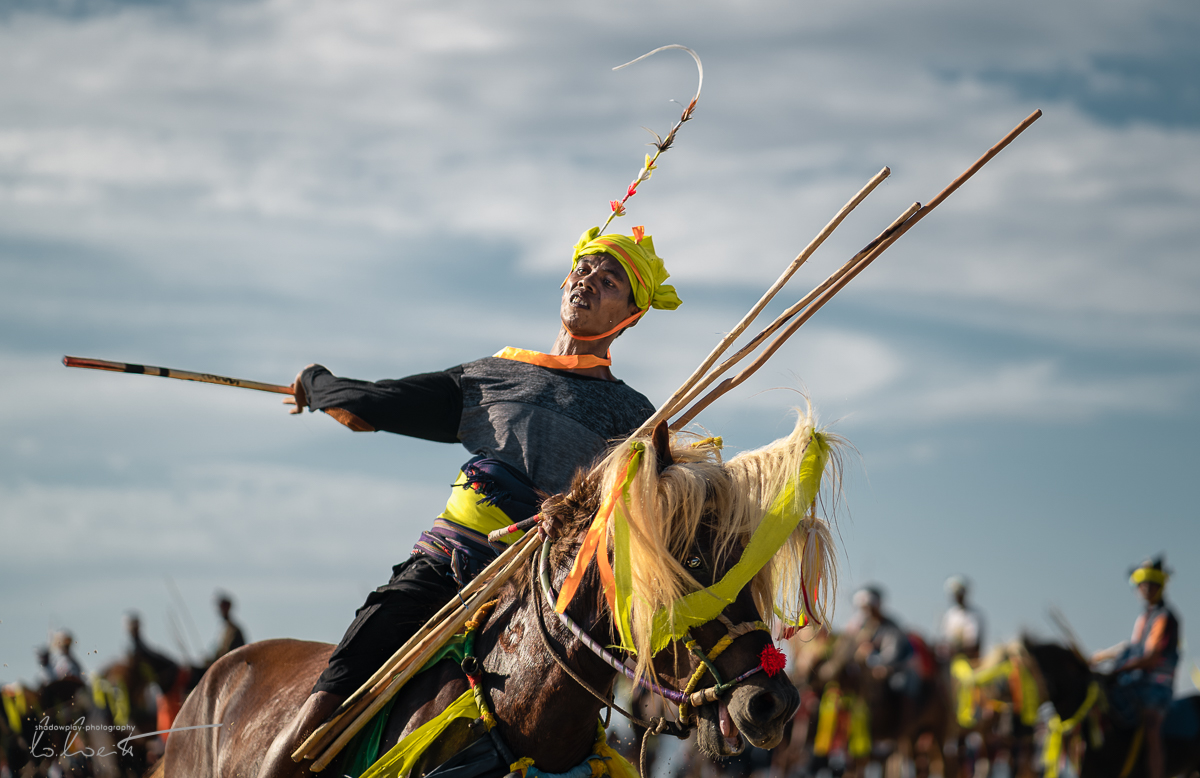 Maldoror ~ Pasola di Sumba