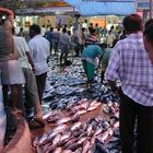 Male' mercato del pesce