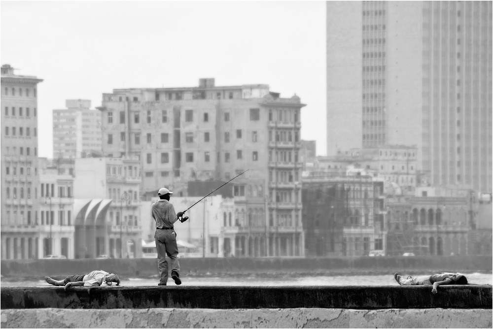 °malecon°