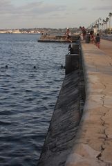 Malecon - public pool