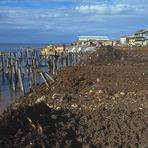 Malecon San Carlos Oktober, 1984