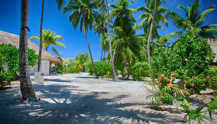 Malediven   -    Bandos Resort