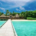 Malediven - Laguna Bar