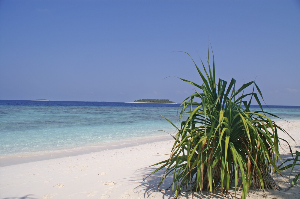 Malediven Reethi Beach 2007 Strand