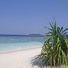 Malediven Reethi Beach 2007 Strand