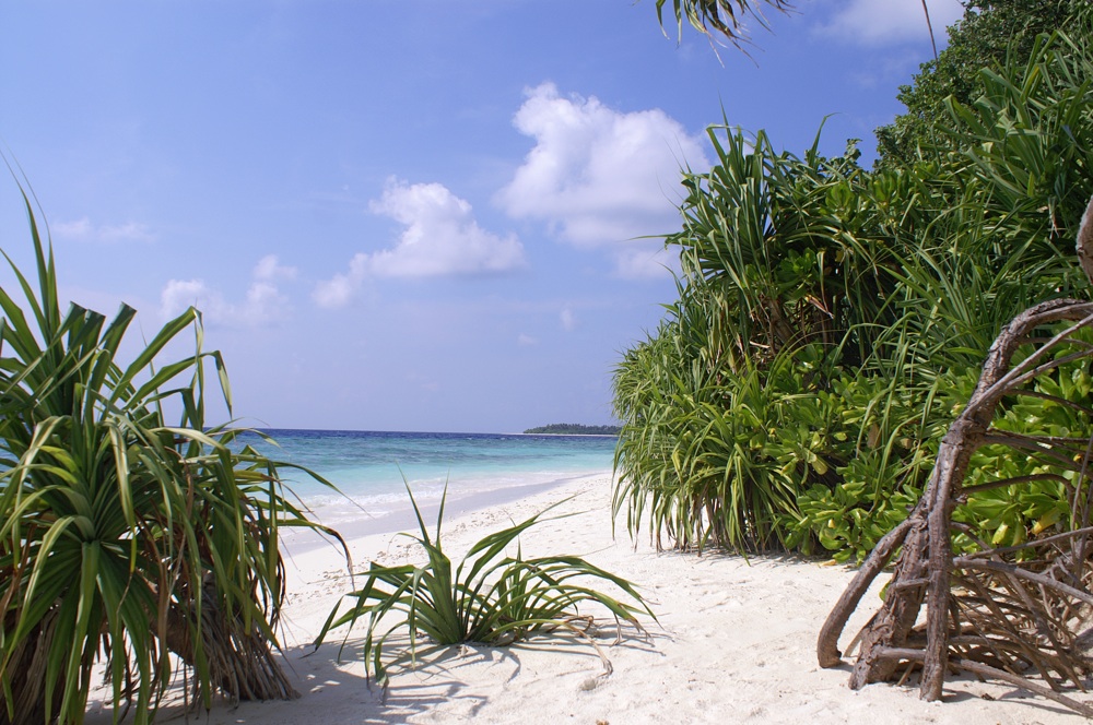 Malediven Reethi Beach 2007 Strand von Insel