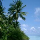Malediven - Vilamendhoo I
