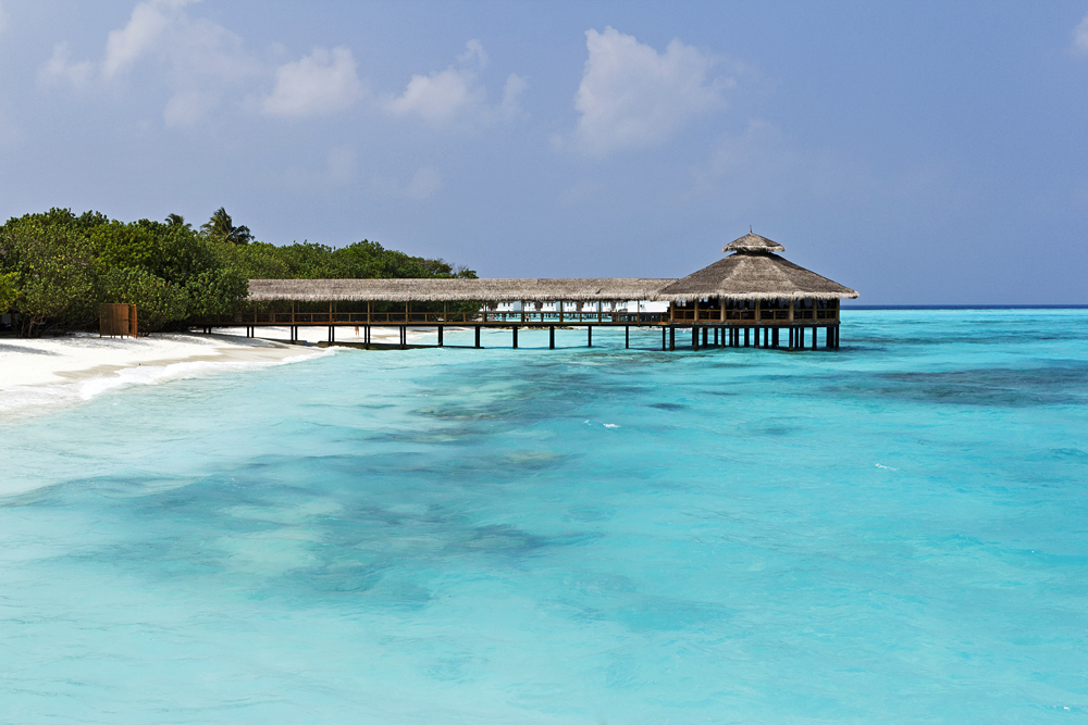 °Maledives°